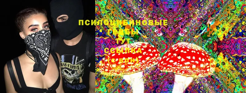 Галлюциногенные грибы Magic Shrooms  KRAKEN зеркало  Серпухов 